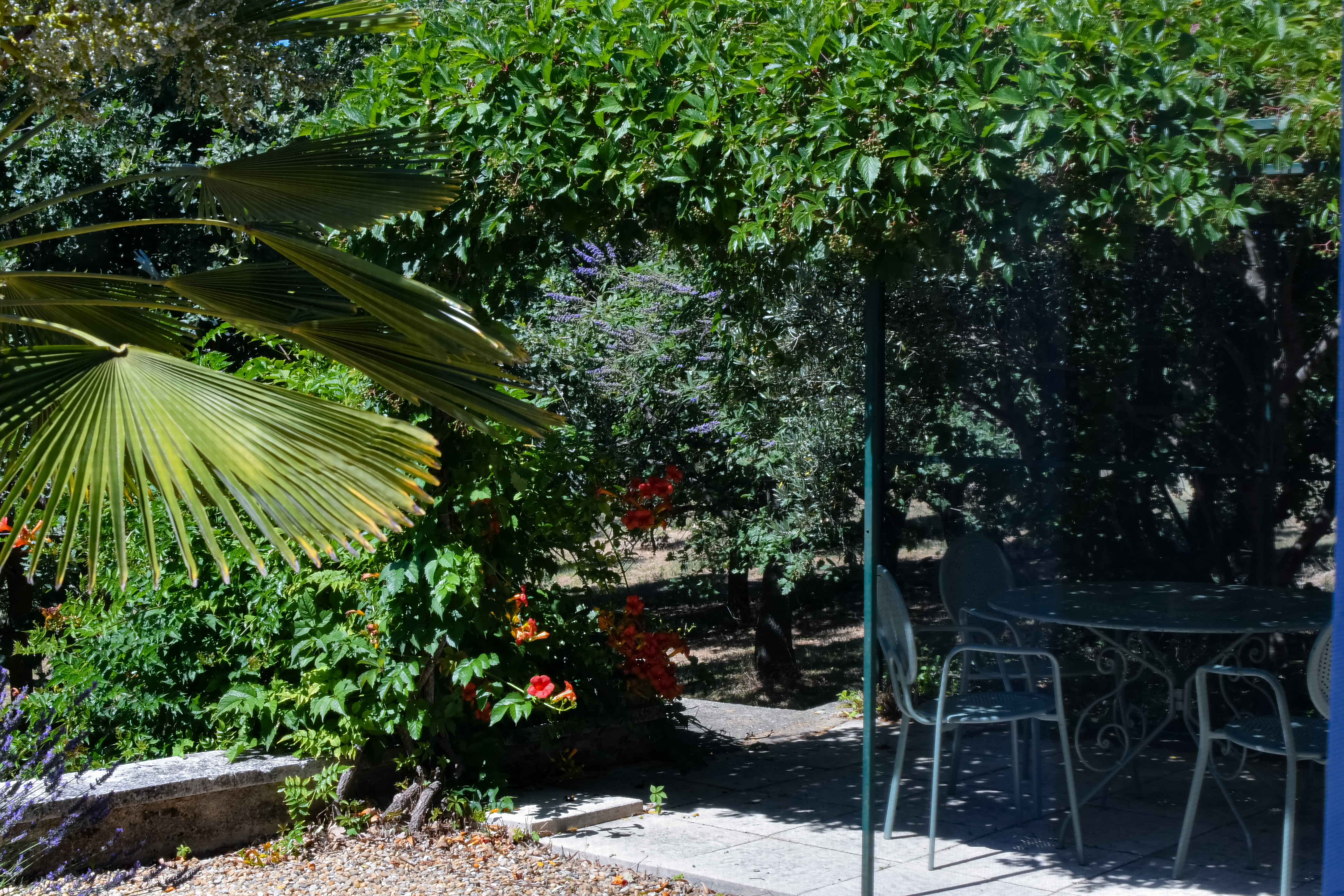 Le Domaine du Coulet de Plumes
